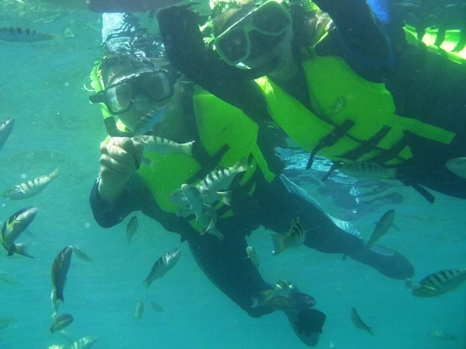 益大浮潛-浮潛餵魚